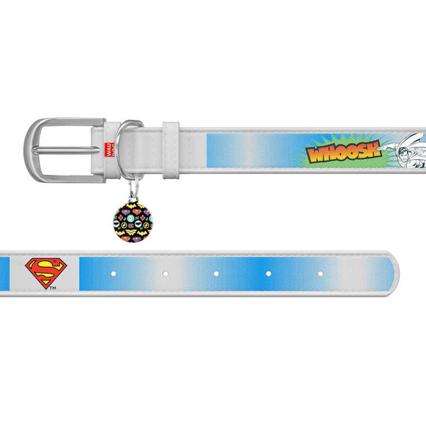 Collar Waudog Süpermen Deri Köpek Boyun Tasması W 15MM L 26-35 Cm Beyaz (0015-1008-15) - Thumbnail