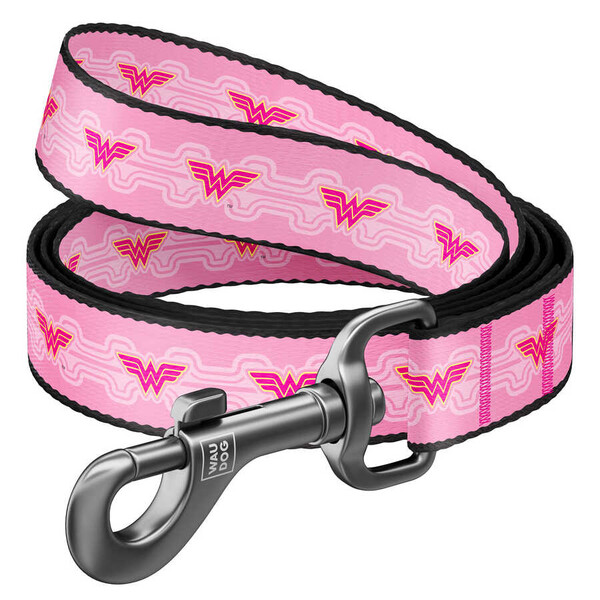 Collar - 0110-2015 WAUDOG Nylon dog leash 