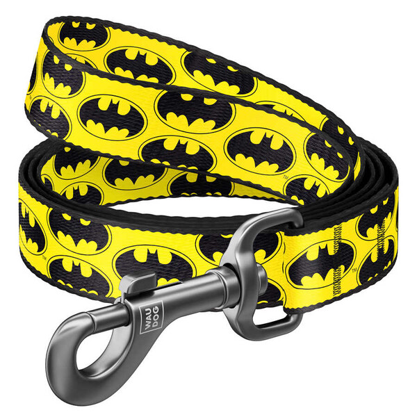 Collar - 0120-2001 WAUDOG Nylon dog leash 