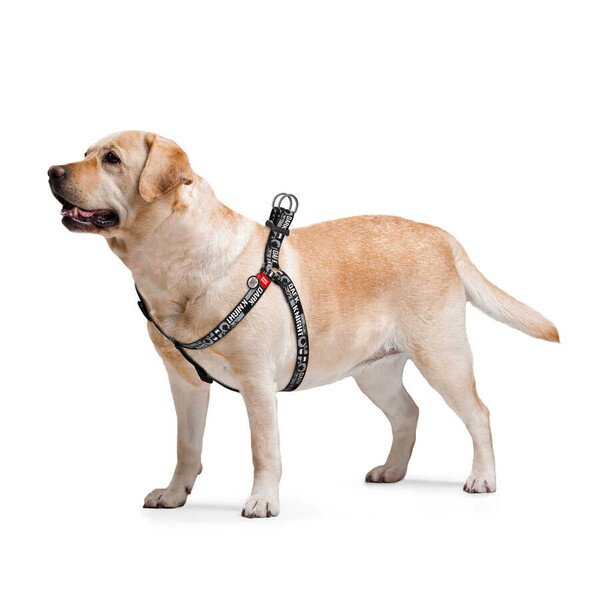 0720-2011 WAUDOG Nylon dog harness with QR passport, 