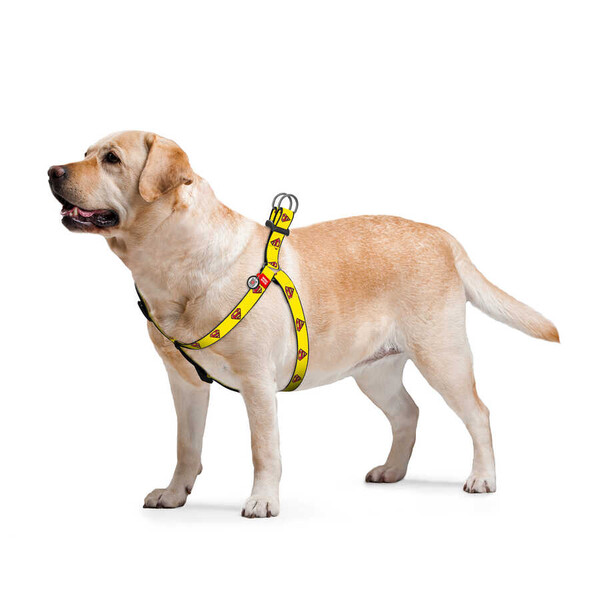 Collar - 0725-2014 WAUDOG Nylon dog harness with QR passport, 