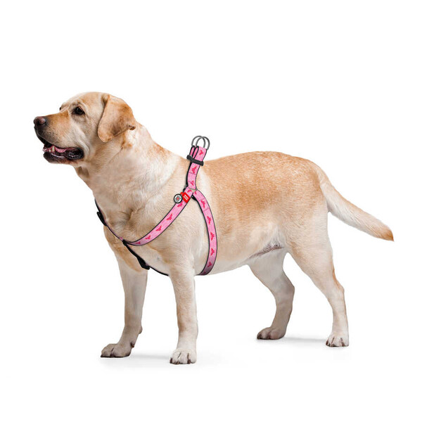 0725-2015 WAUDOG Nylon dog harness with QR passport, 