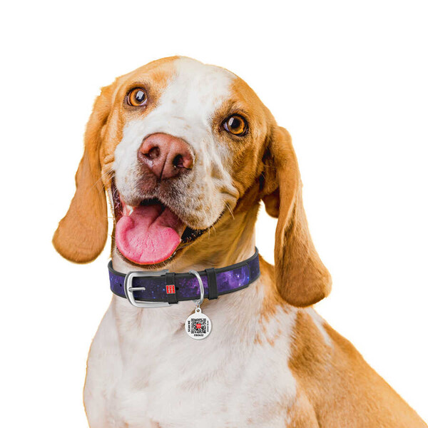 3603-0148-01 WAUDOG Design genuine leather dog collar with QR passport, 