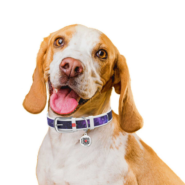 3603-0148-15 WAUDOG Design genuine leather dog collar with QR passport, 