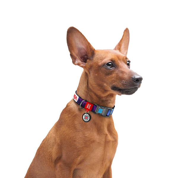 Collar Waudog Nasa Logolu Plastik Tokalı Köpek Boyun Tasması 23-35 Cm 15mm (4501-0148) - Thumbnail