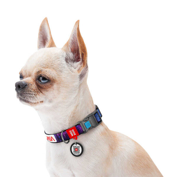 Collar Waudog Nasa Logolu Plastik Tokalı Köpek Boyun Tasması 35-58 Cm 25mm (4504-0148) - Thumbnail