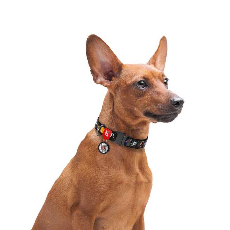 5120-WAUDOG Nylon dog collar with QR passport, 