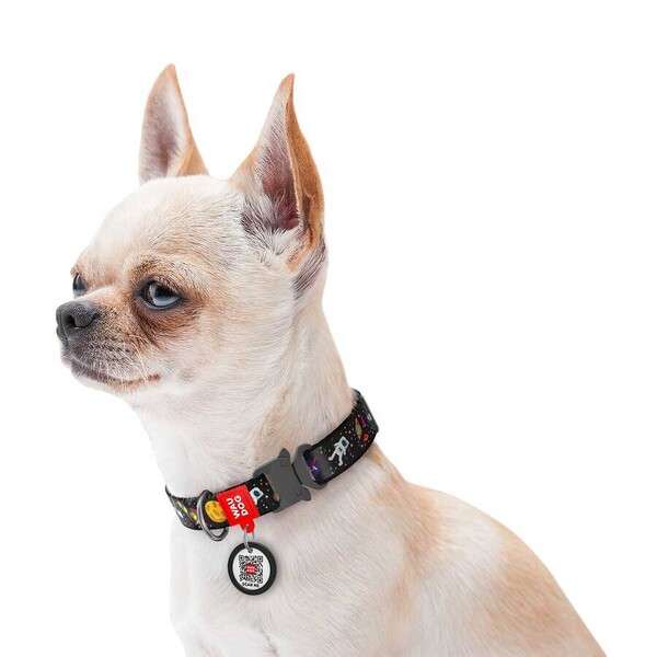 5121-WAUDOG Nylon dog collar with QR passport, 