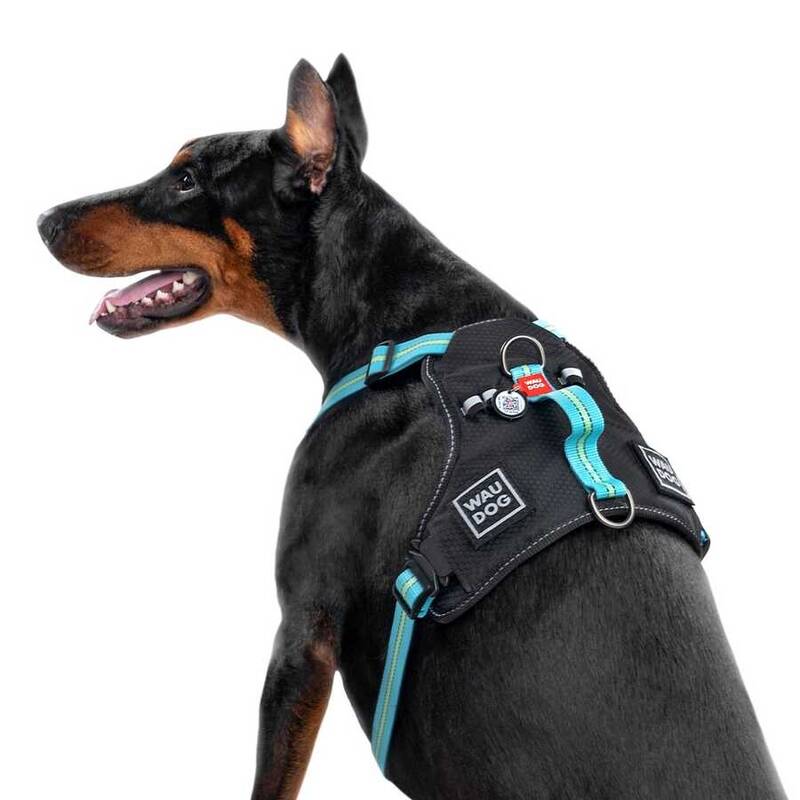 Collar Waudog Fosforlu ve QR Pasaportlu Köpek Göğüs Tasması M Blue 20mm (52492)