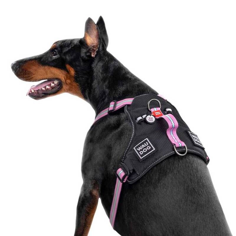 Collar Waudog Fosforlu ve QR Pasaportlu Köpek Göğüs Tasması L Pembe 25mm (52507)