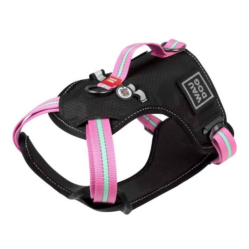 Collar Waudog Fosforlu ve QR Pasaportlu Köpek Göğüs Tasması L Pembe 25mm (52507)