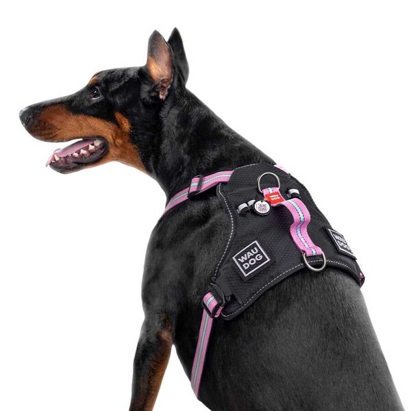 Collar - Collar Waudog Fosforlu ve QR Pasaportlu Köpek Göğüs Tasması XL Pembe 25mm (52517) 