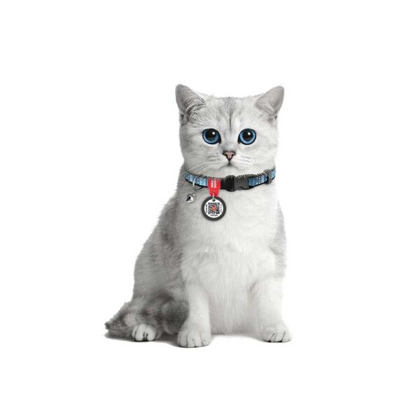 Collar QR Pasaportlu Kedi Boyun Tasması 20-30 Cm 10 MM 