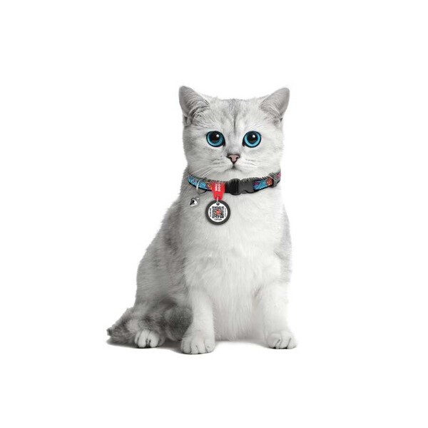 Collar QR Pasaportlu Kedi ve Ufak Irk Köpek Boyun Tasması 20-30 Cm 10 MM 