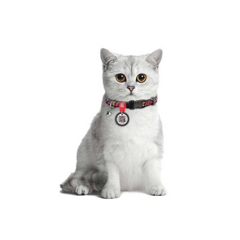 5277-WAUDOG Nylon cat collar with QR passport, 