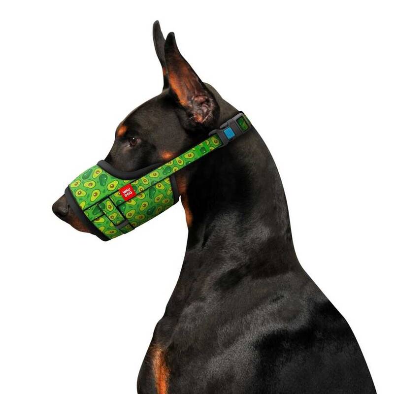 Collar Waudog Avocado Model Köpek Ağızlığı 19-26 Cm No:2 (5367)