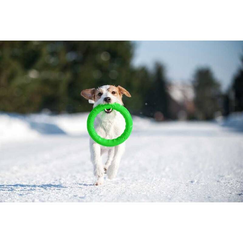 62385-PitchDog30, fetch ring (diameter 28 cm) lime green