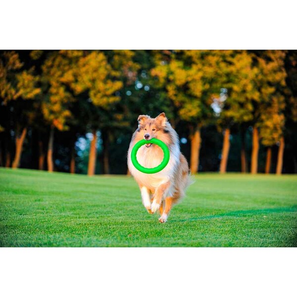 62385-PitchDog30, fetch ring (diameter 28 cm) lime green - Thumbnail