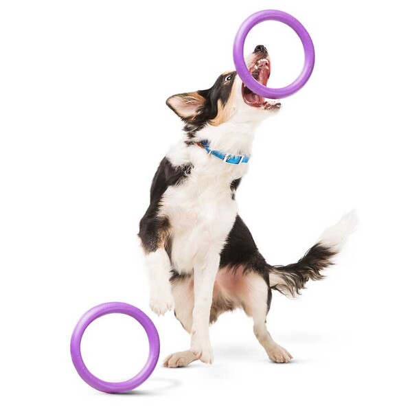 Collar - 6488-PULLER Midi dog training device diameter 20 cm