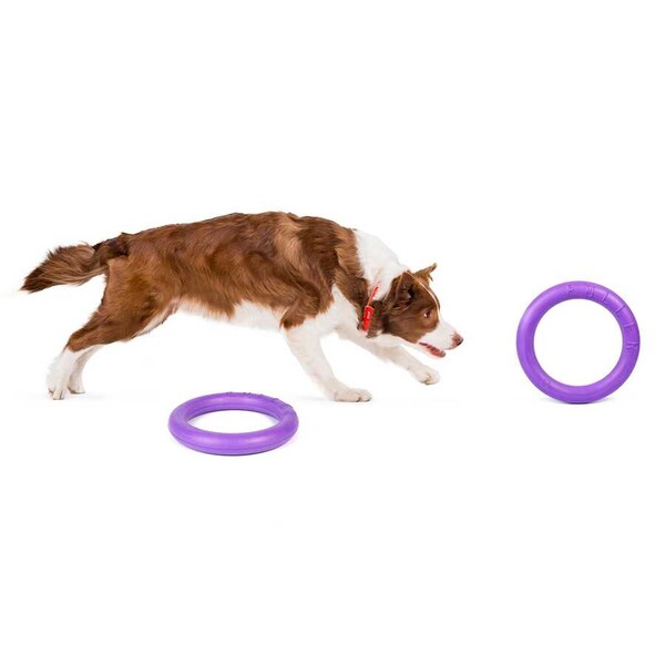 6488-PULLER Midi dog training device diameter 20 cm - Thumbnail