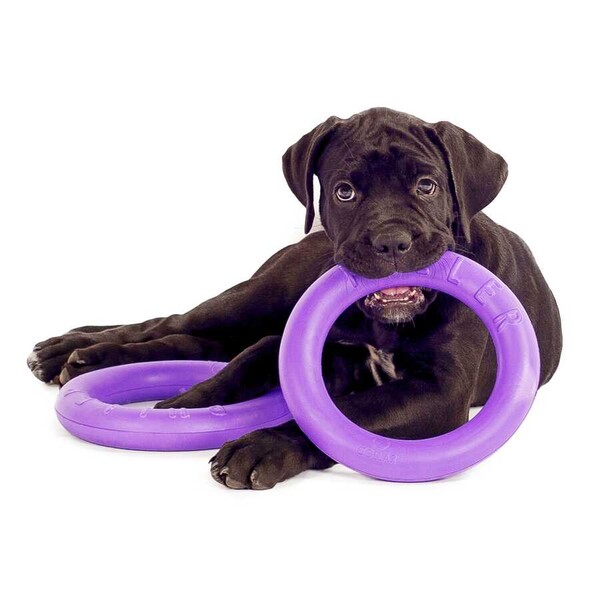 6488-PULLER Midi dog training device diameter 20 cm - Thumbnail