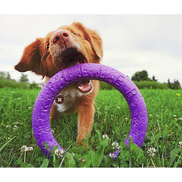 6490-PULLER Standard dog training device diameter 28 cm - Thumbnail