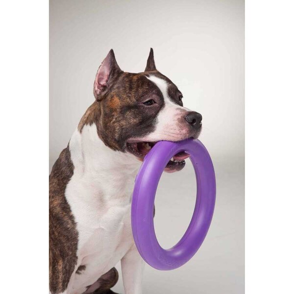 6490-PULLER Standard dog training device diameter 28 cm - Thumbnail