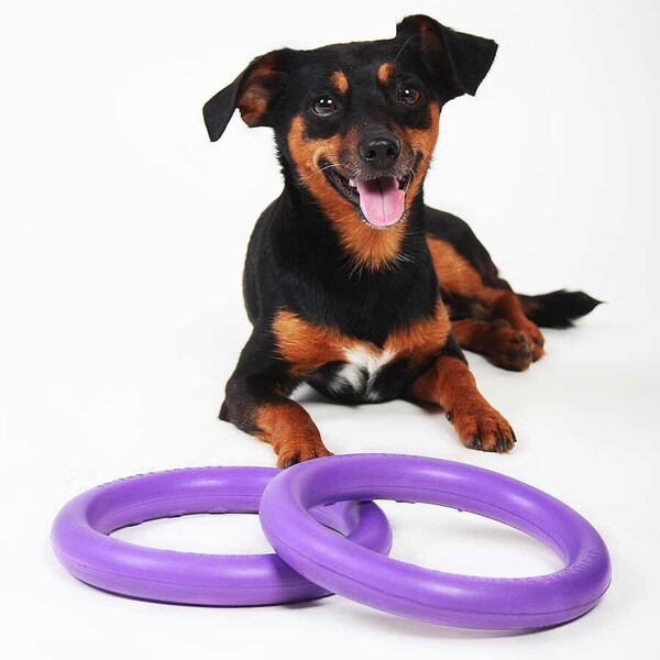 6491-PULLER Mini dog training device diameter 18 cm - Thumbnail