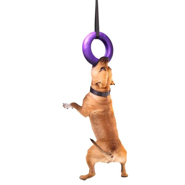 Collar - 6492-PULLER Maxi dog training device diameter 30 cm