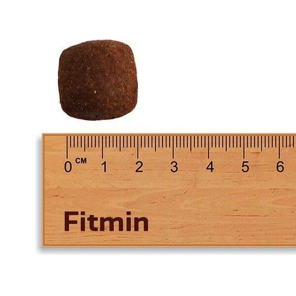 Fitmin Forlife Adult Large Breed Büyük Irk Yetişkin Köpek Maması 12 Kg - Thumbnail