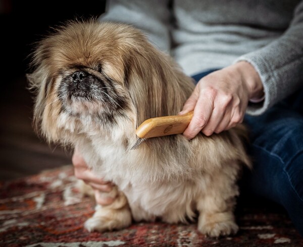 Nylabone Bamboo Kıtık Önleyici Tarak - Geniş (6280023) - Thumbnail