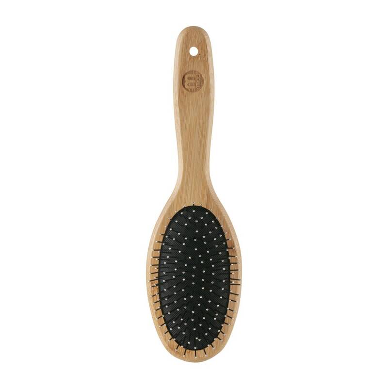 Nylabone Bamboo Top Pimli Fırça - Büyük (6280013)