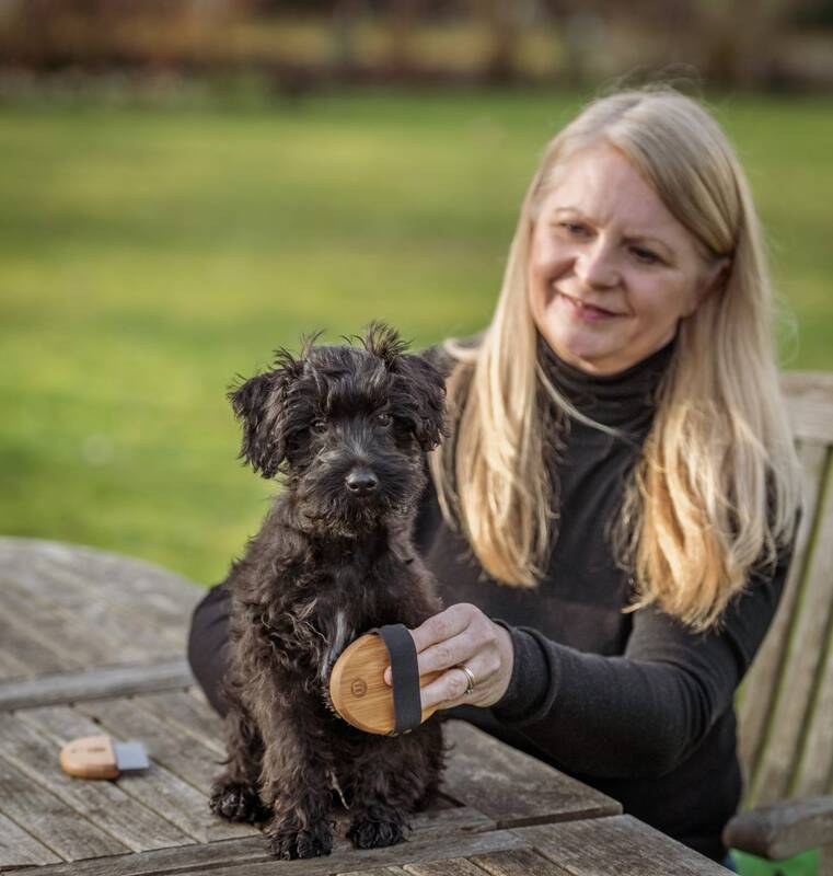 Nylabone Bamboo Yavru Kedi ve Köpek Kiti 