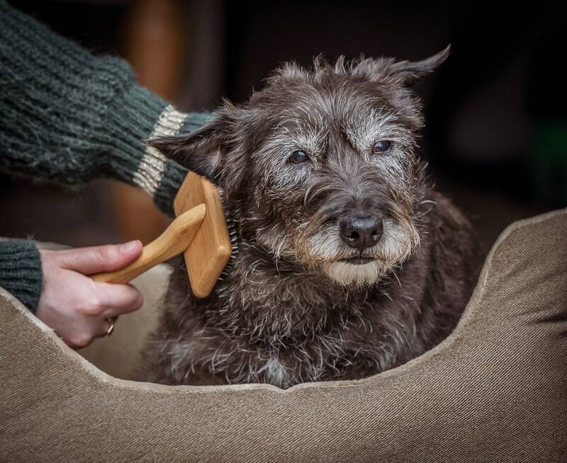 Nylabone Bamboo Yumuşak İğne Uçlu Kaygan Tarak - Küçük 