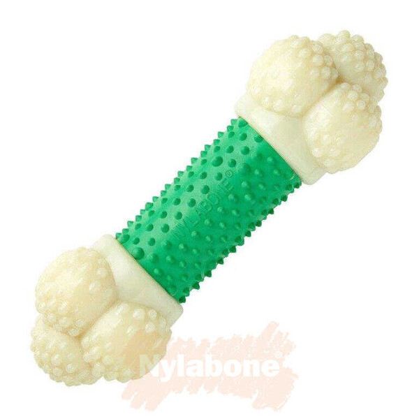 Nylabone Domuz Pastırması Aromalı Köpek Çiğneme Kemiği M - Thumbnail