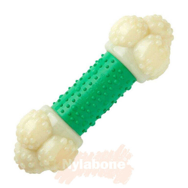 Nylabone Domuz Pastırması Aromalı Köpek Çiğneme Kemiği S - Thumbnail