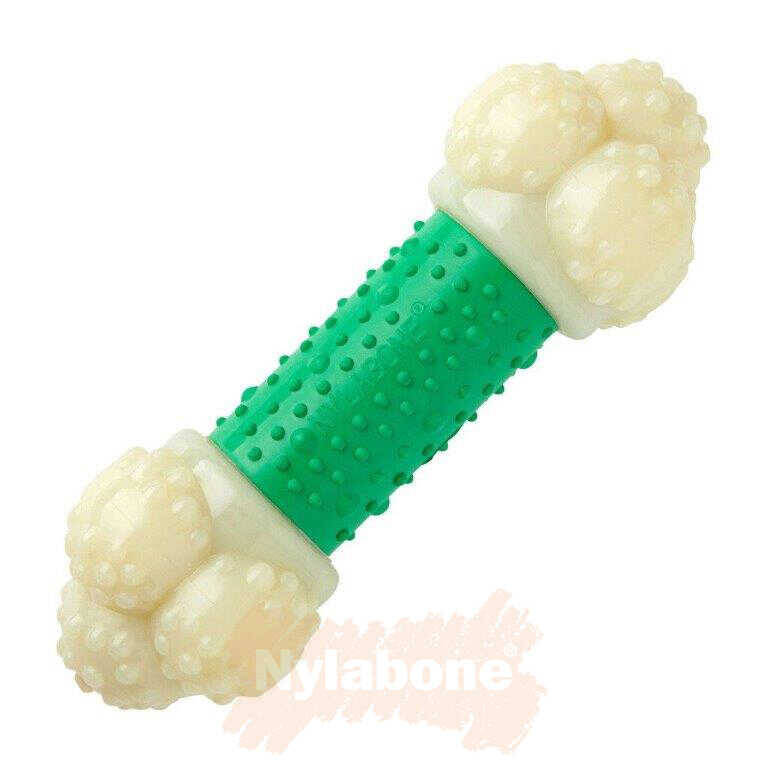 Nylabone Domuz Pastırması Aromalı Köpek Çiğneme Kemiği S