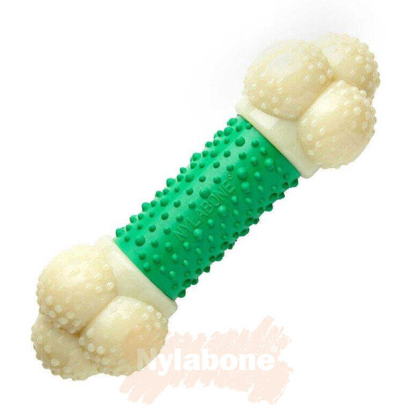 Nylabone Domuz Pastırması Aromalı Köpek Çiğneme Kemiği XL - Thumbnail