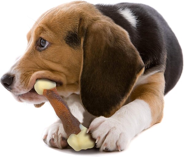 Nylabone Biftek Aromalı Köpek Çiğneme Kemiği M - Thumbnail