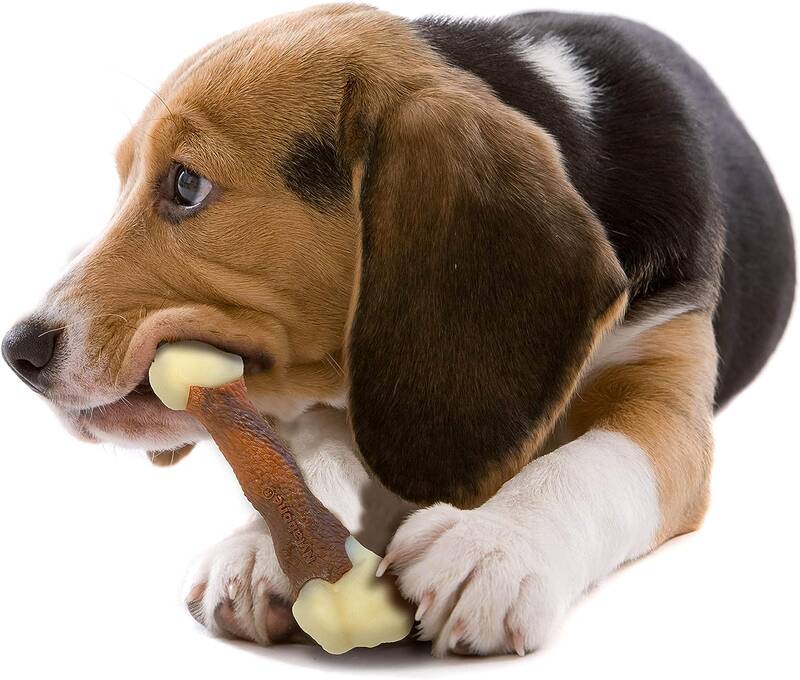 Nylabone Biftek Aromalı Köpek Çiğneme Kemiği M