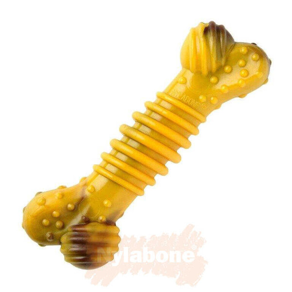 Nylabone Biftek ve Peynir Aromalı Köpek Çiğneme Çubuğu S - Thumbnail