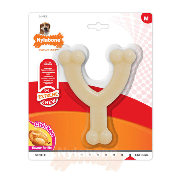 Nylabone - Nylabone Tavuk Aromalı Köpek Çiğneme Kemiği M