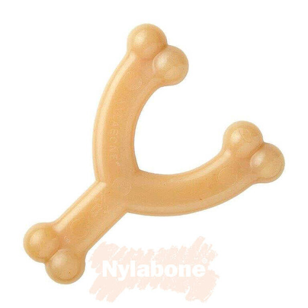 Nylabone Tavuk Aromalı Köpek Çiğneme Kemiği M - Thumbnail