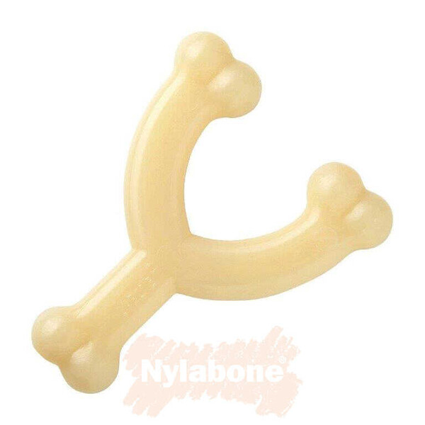 Nylabone Tavuk Aromalı Köpek Çiğneme Kemiği S - Thumbnail