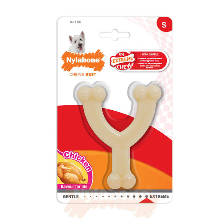 Nylabone Tavuk Aromalı Köpek Çiğneme Kemiği S