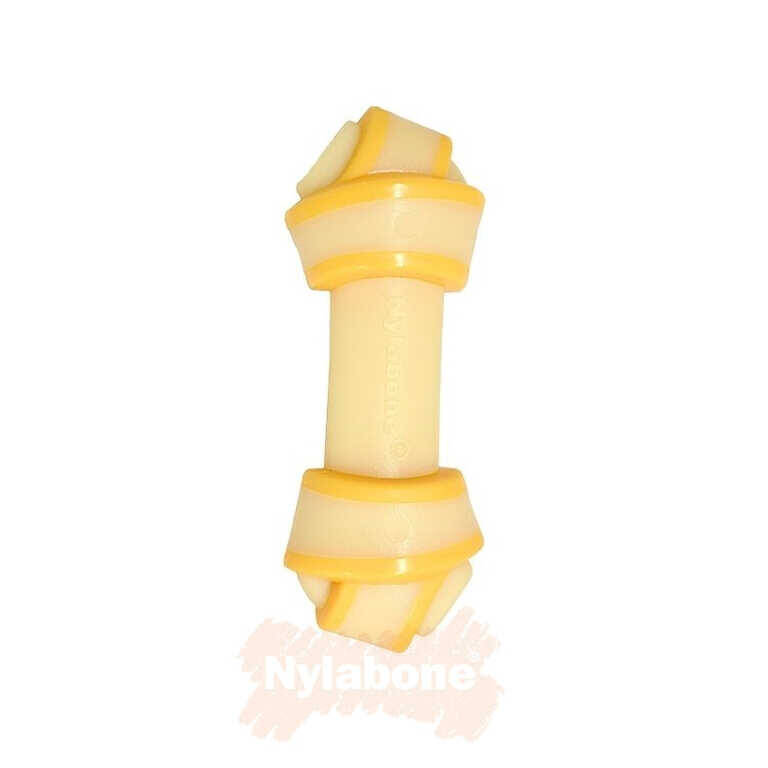 Nylabone Domuz Pastırması ve Peynir Aromalı Köpek Çiğneme Kemiği M