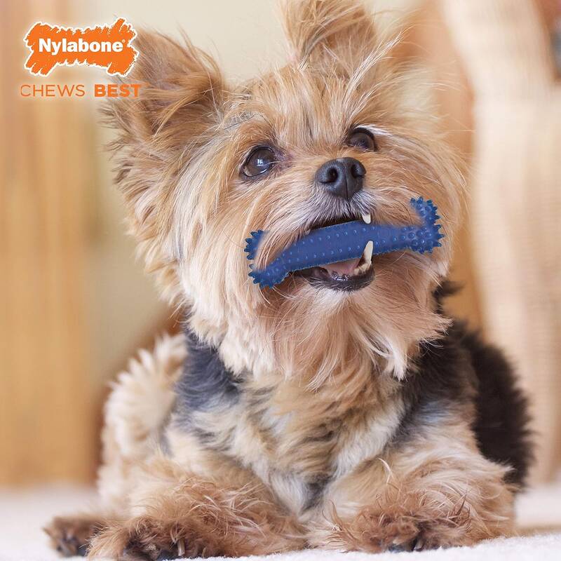 Nylabone Tavuk Aromalı Köpek Çiğneme Kemiği S