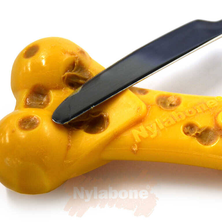 Nylabone Peynir Aromalı Köpek Çiğneme Kemiği L