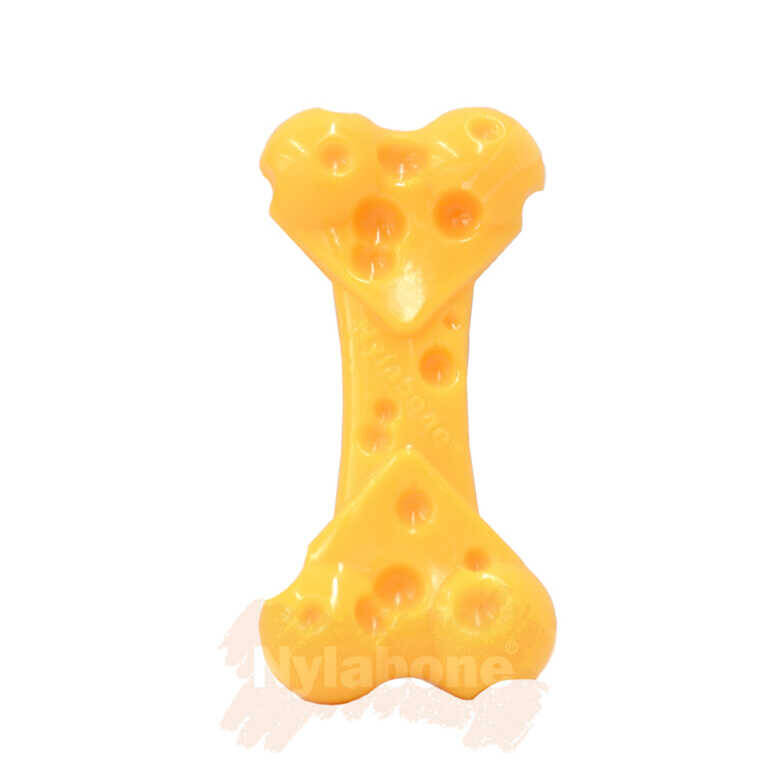 Nylabone Peynir Aromalı Köpek Çiğneme Kemiği L