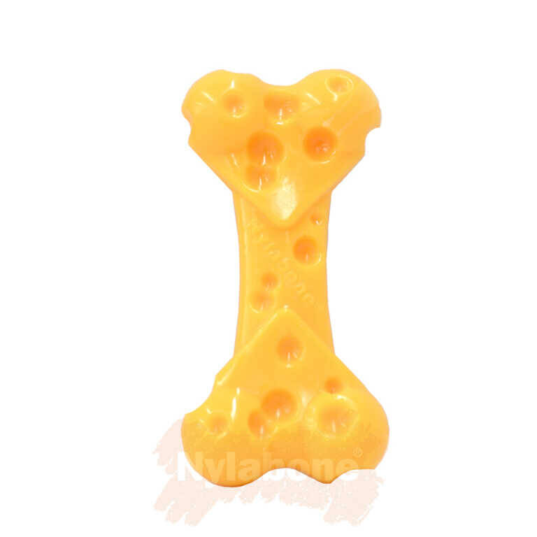 Nylabone Peynir Aromalı Köpek Çiğneme Kemiği XS